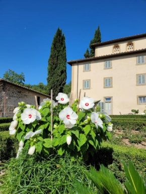 Residenza San Leo Figline Valdarno